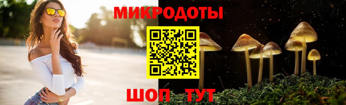Псилоцибиновые грибы GOLDEN TEACHER Мыски